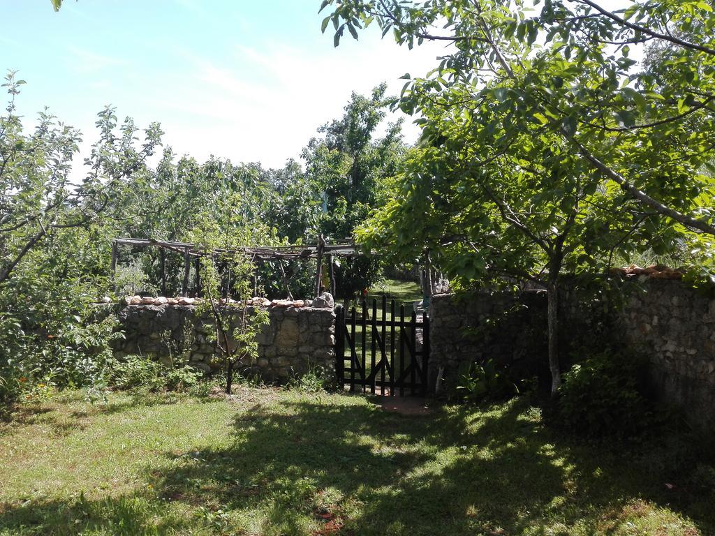 Apartments Hatic Drenje  Екстериор снимка